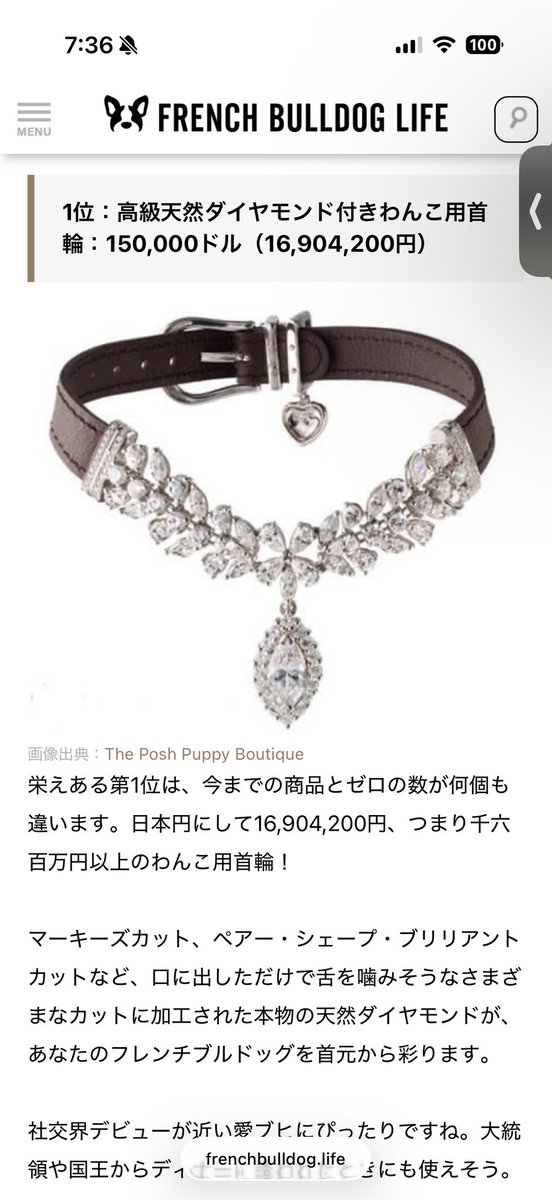 山本　零 tweet media