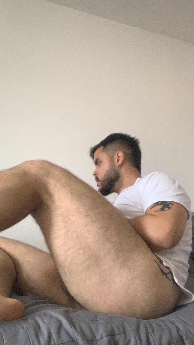 perro br. tweet media