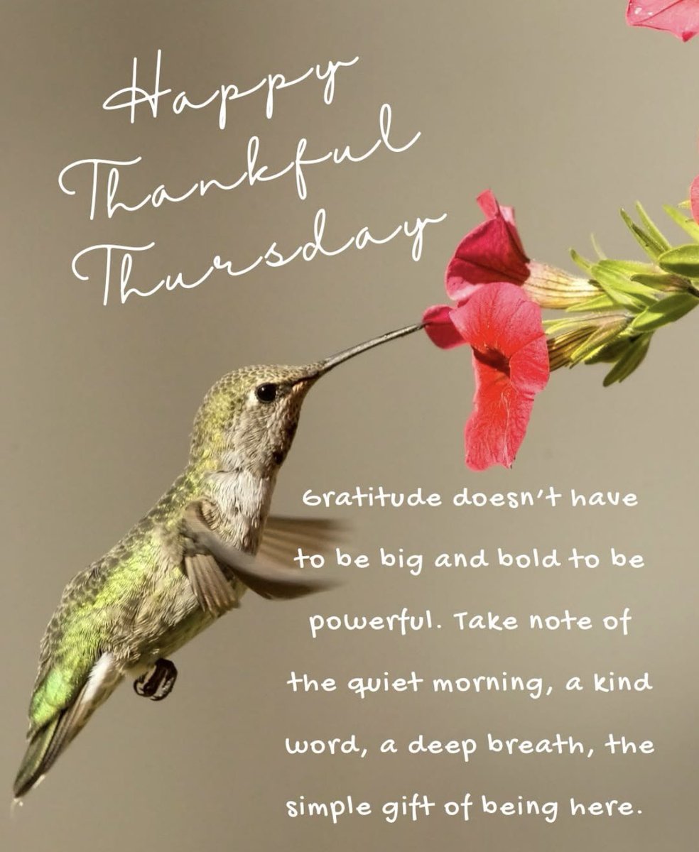 CoachCabralHuff's tweet image. Seeds of discouragement cannot take root in a grateful heart. #ThankfulThursday