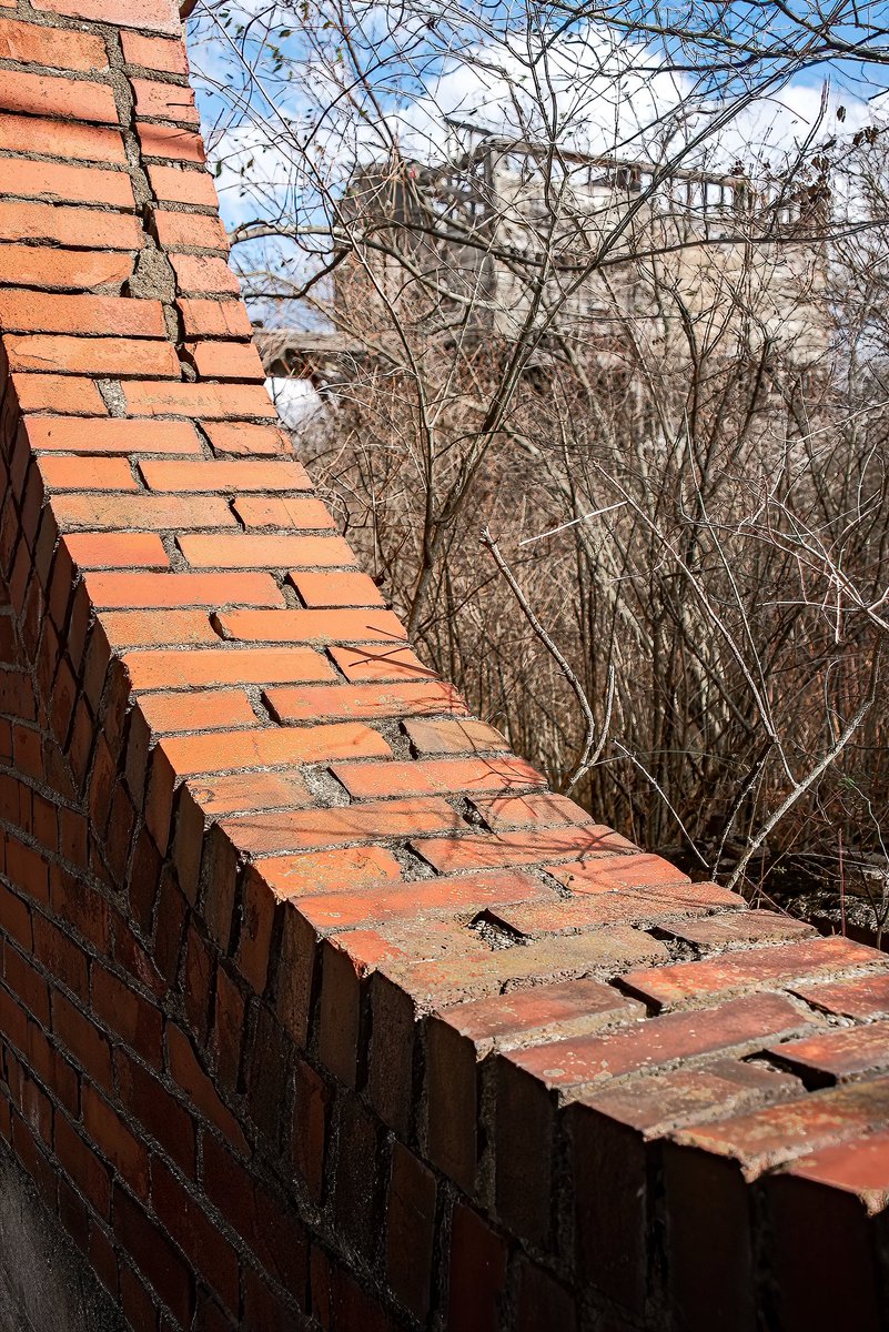 Mr. P. Explores tweet media