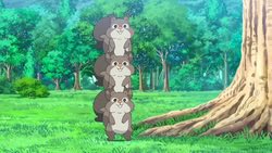 HAWU 🩵🐾 tweet media