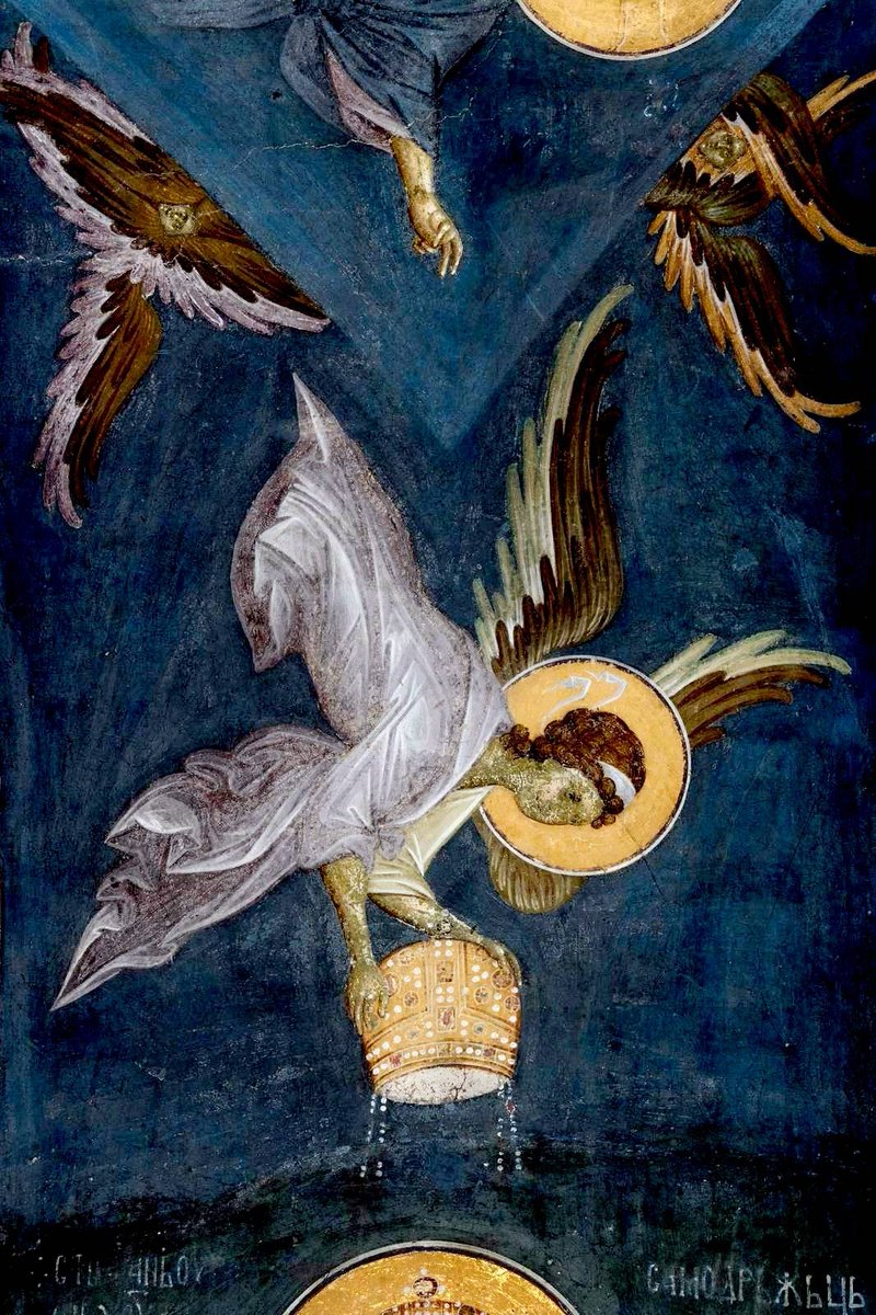 Јасмина tweet media