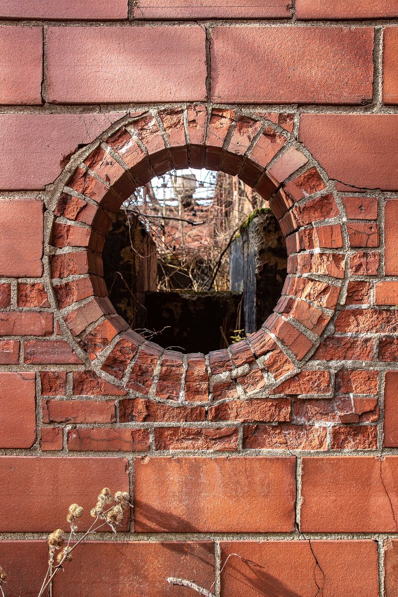 Mr. P. Explores tweet media