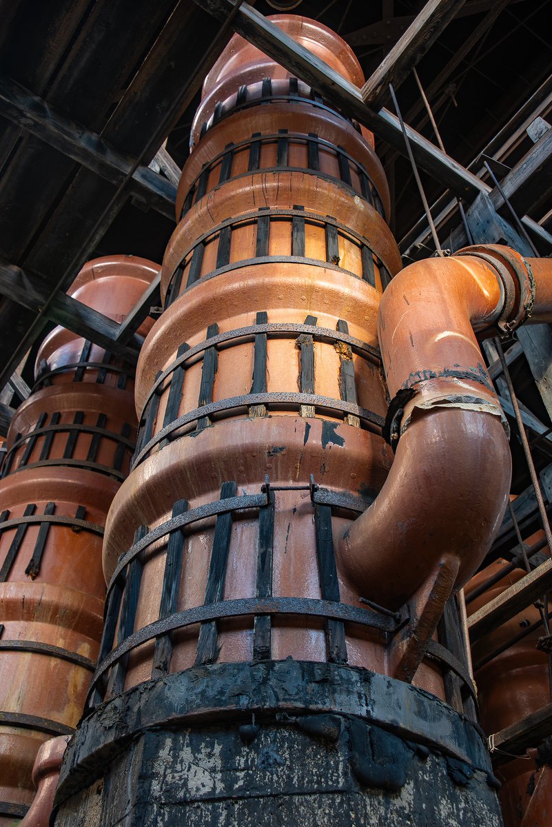 Mr. P. Explores tweet media