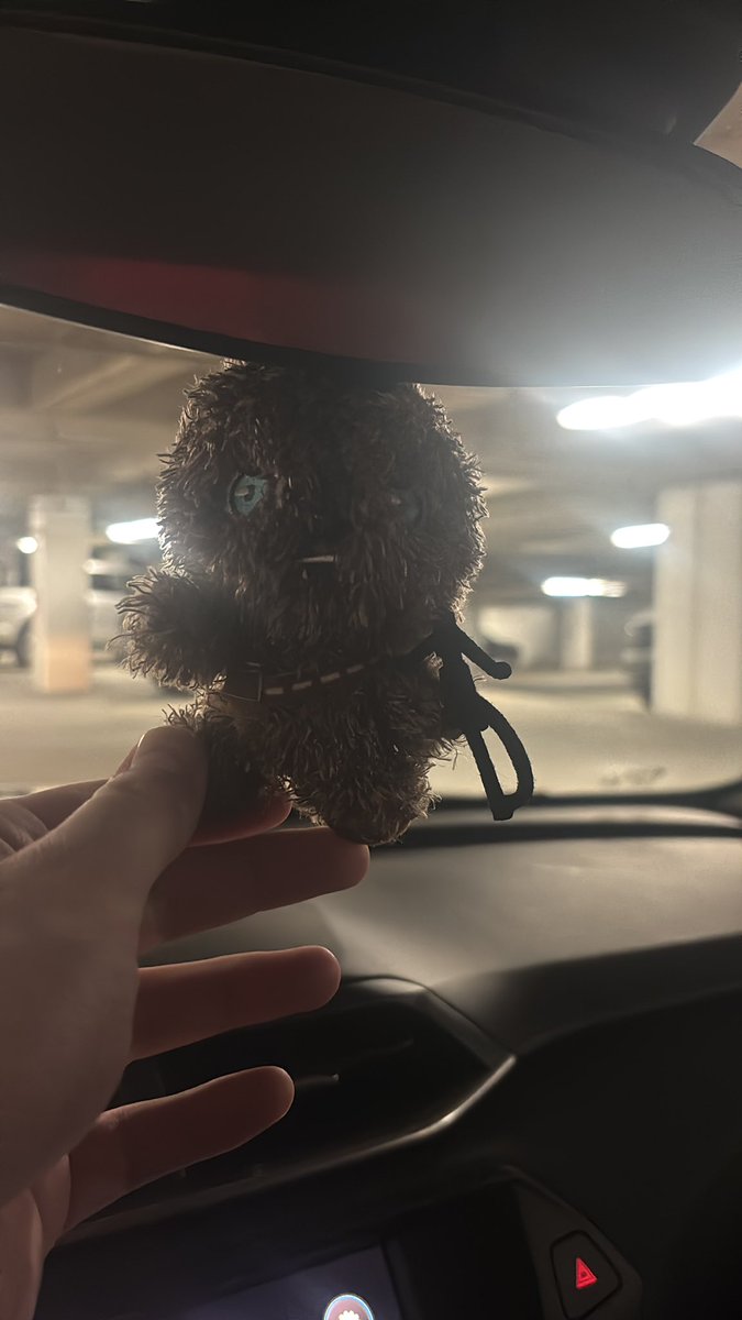 Busch Wookie tweet media