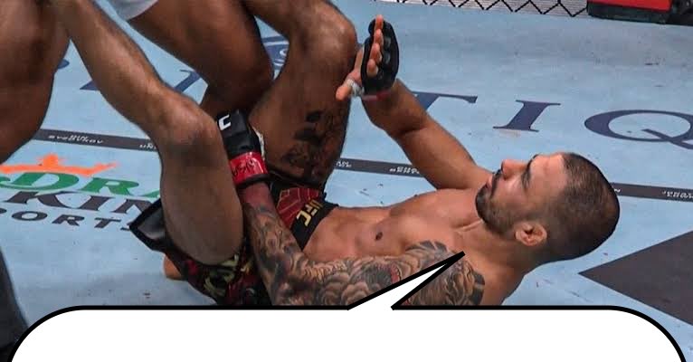 max 🇳🇿 tweet media