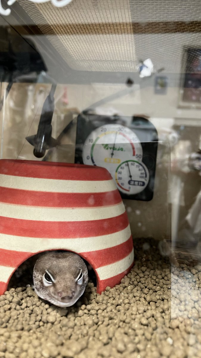 Amil@アスラ　FF14 tweet media