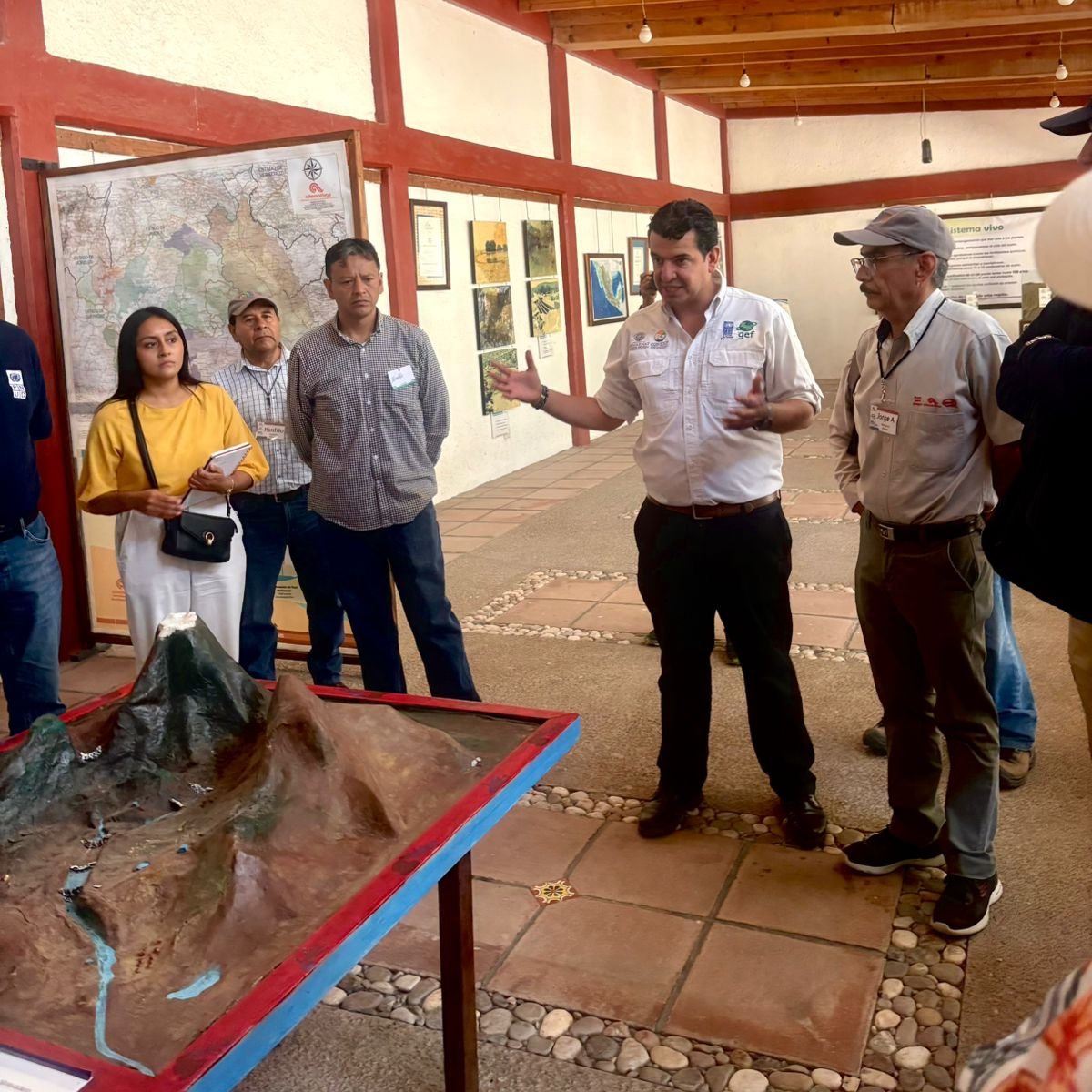 PNUD México tweet media