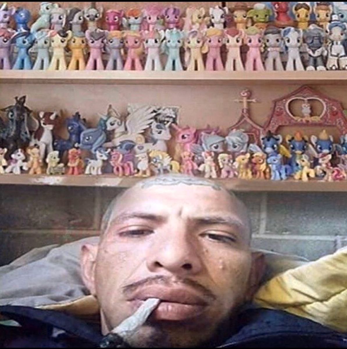 Luis pendejo tweet media