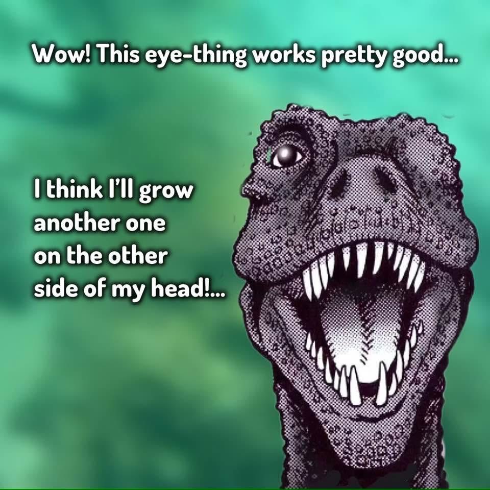 Full Velocity X tweet media