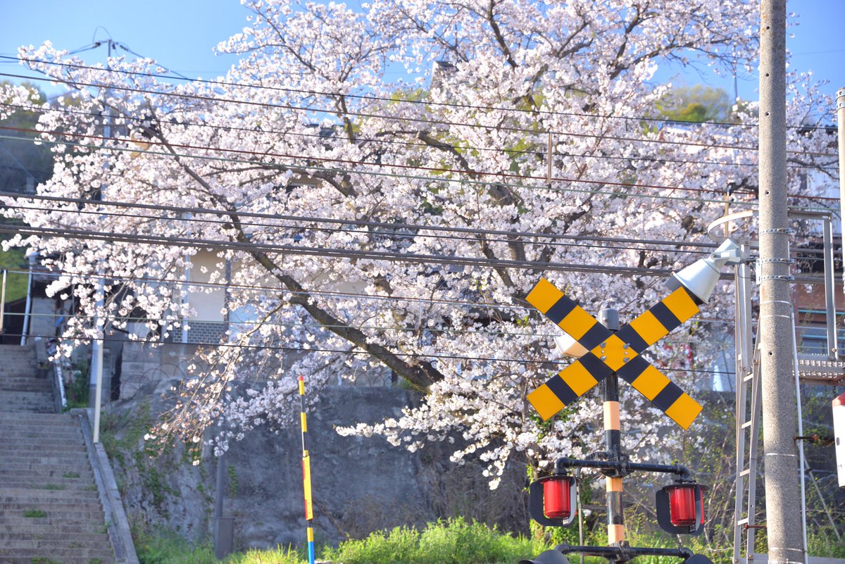 緒路案内所 in 尾道 tweet media