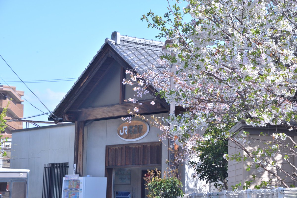 緒路案内所 in 尾道 tweet media