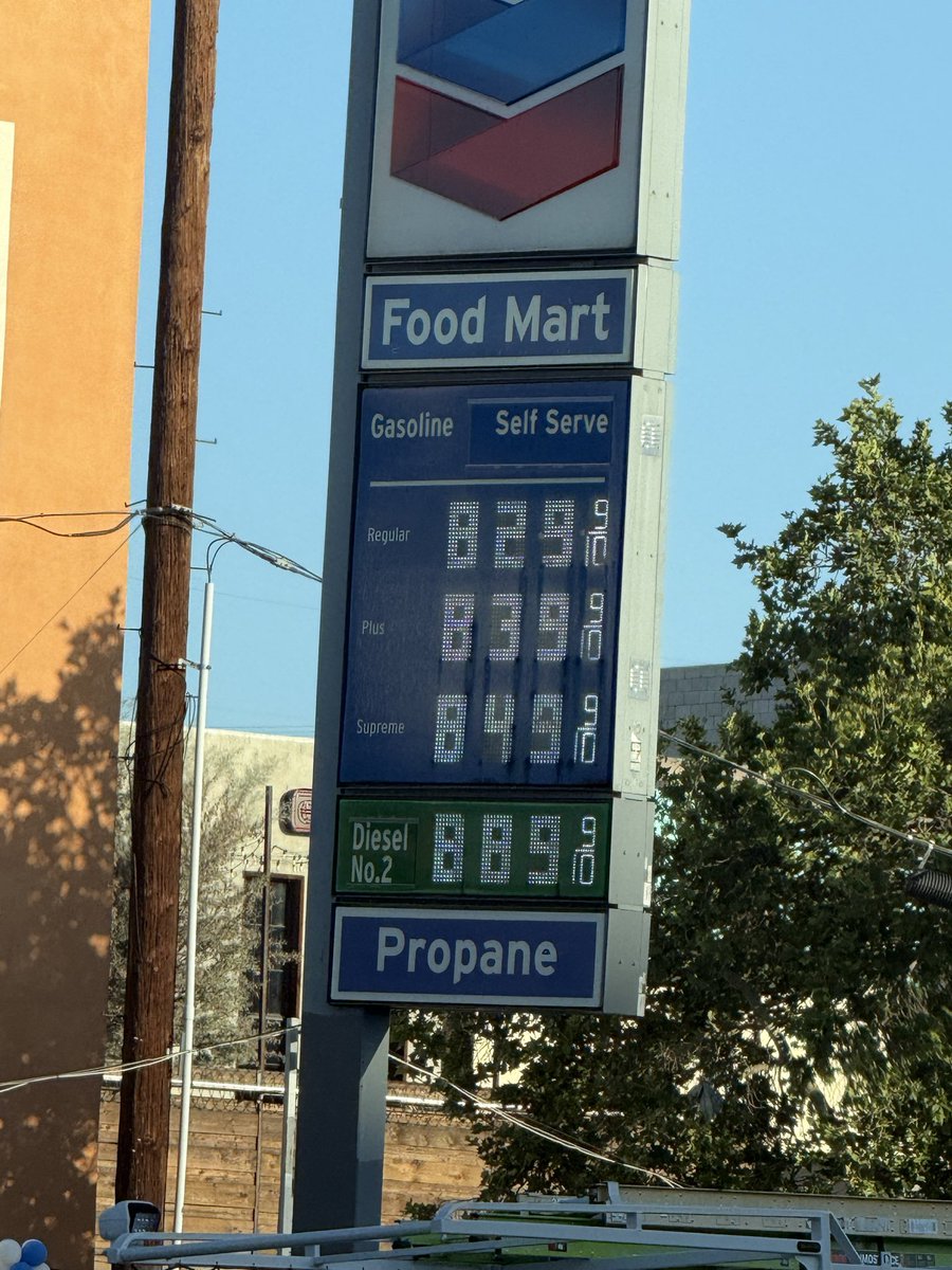 Ruska Beats tweet media