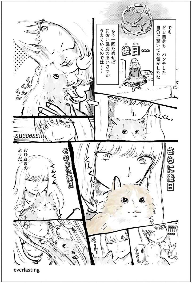 今日もちゃんと帰ってきてえらかったので好物のフリーズドライ鳥モモ肉をあげた 
