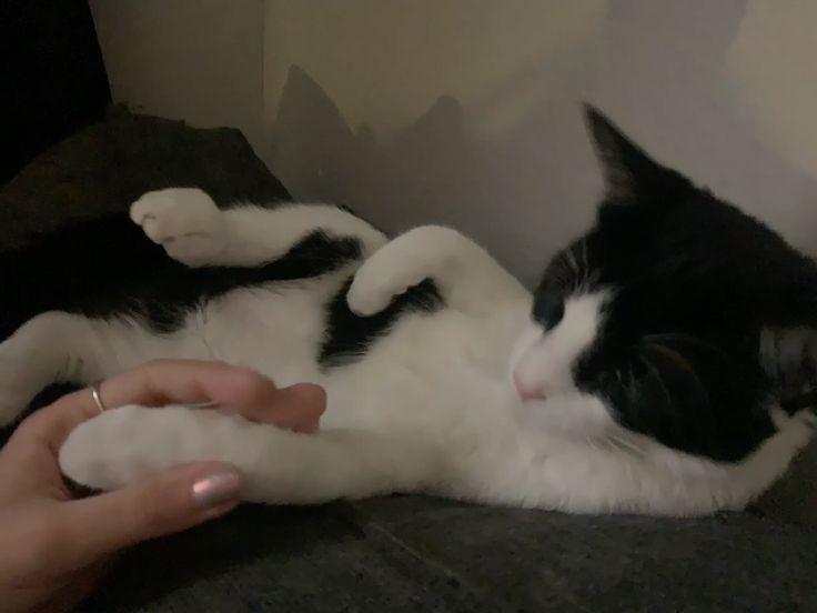 nana 𑄹 tweet media