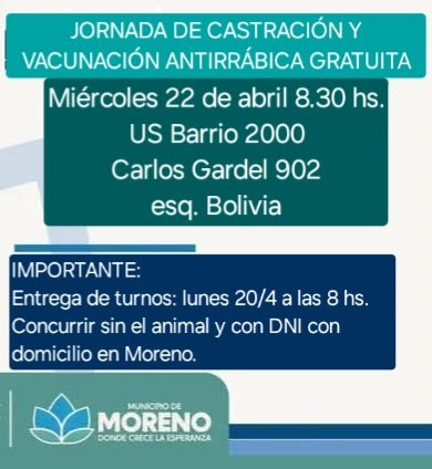 protegealanimal's tweet image. MORENO

Lunes 20/04 - 8 hs. ENTREGA DE TURNOS para la jornada de castración del miércoles 22/04.
Es un turno por persona, por orden de llegada. En caso de que tengan varios animales para castrar, tienen que venir varias personas para solicitar el turno.
#MORENO #ZONAOESTE #BSAS