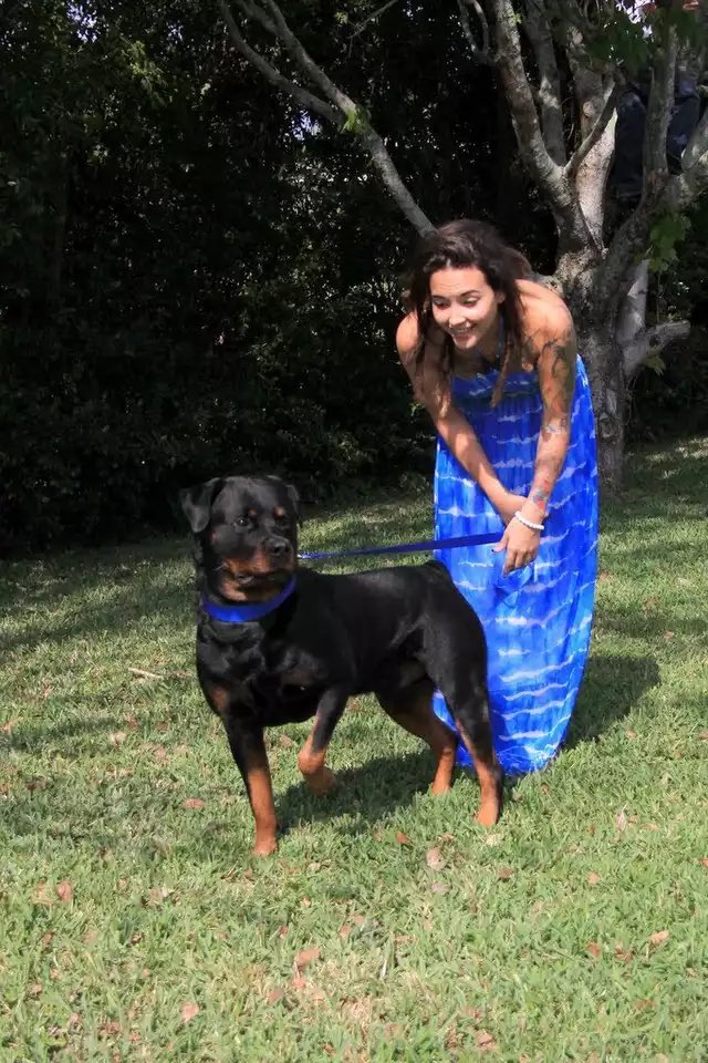 Cannibal cupcake tweet media