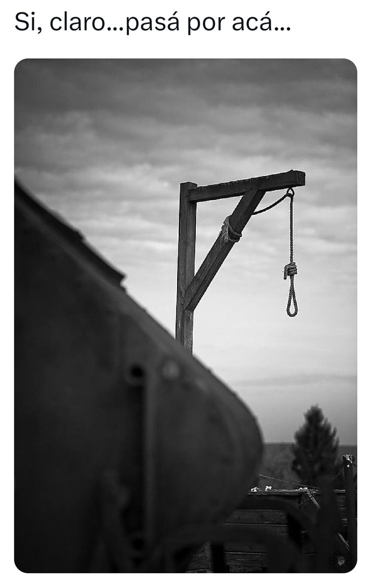 🐜a pikotazos🐜🇵🇸🇪🇭🇵🇸🇸🇩🇪🇭🇸🇩🇵🇸🇸🇩 tweet media