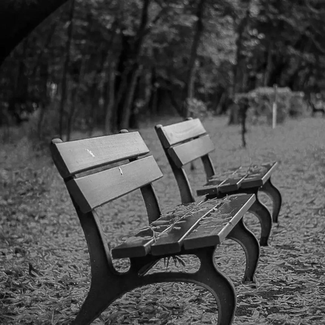 ALOKK BHATTACHARJI tweet media