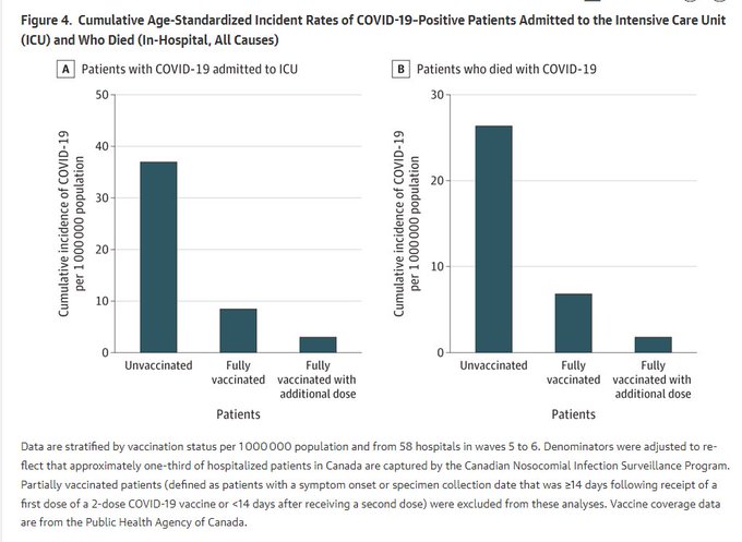 Gery Vermaut. tweet media