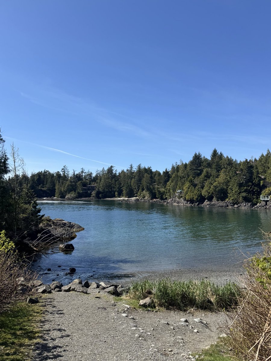 mom of finland tweet media