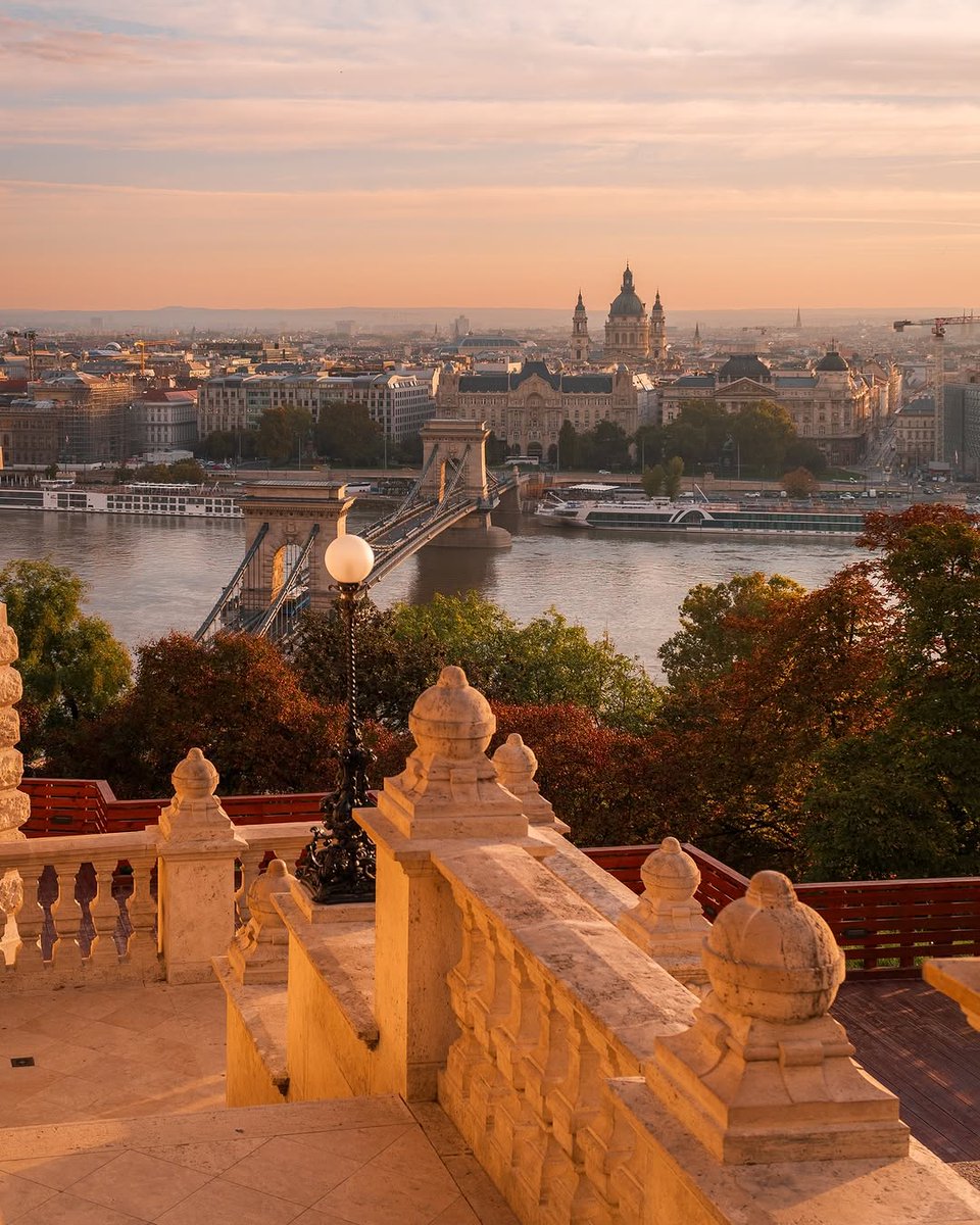 beauti_animals's tweet photo. 📍Budapest, Hungary 🇭🇺 https://t.co/pnDpc1pPKK