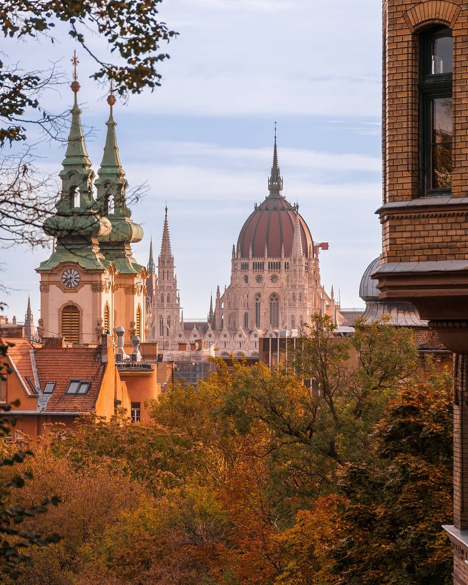 beauti_animals's tweet photo. 📍Budapest, Hungary 🇭🇺 https://t.co/pnDpc1pPKK