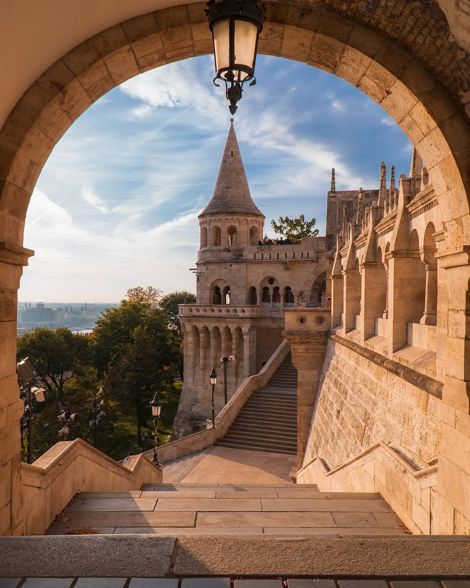 beauti_animals's tweet photo. 📍Budapest, Hungary 🇭🇺 https://t.co/pnDpc1pPKK