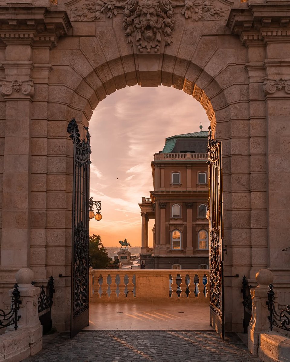 beauti_animals's tweet photo. 📍Budapest, Hungary 🇭🇺 https://t.co/pnDpc1pPKK