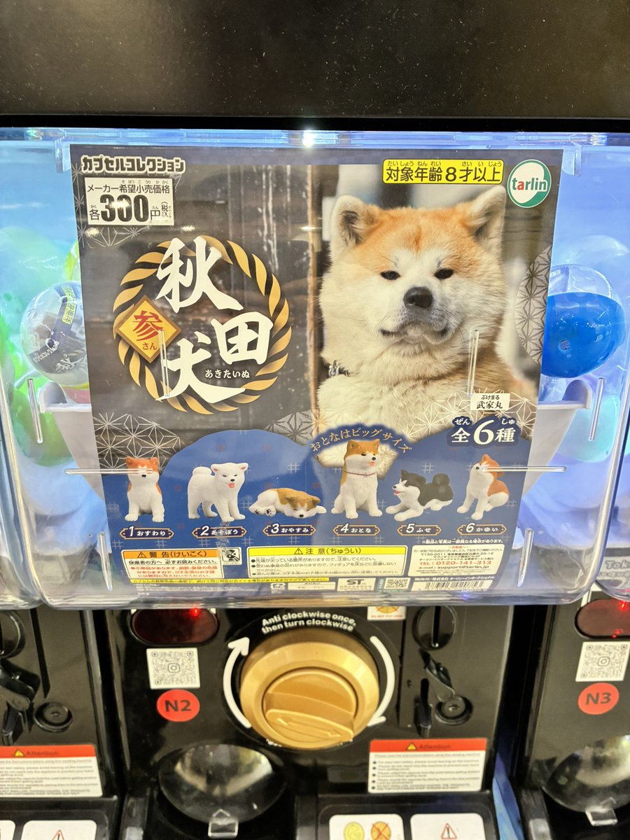 MetaAkita's tweet photo. オーストラリア ブリスベン

秋田犬 https://t.co/S8uYNv4hO4