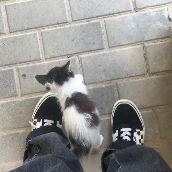 nana 𑄹 tweet media