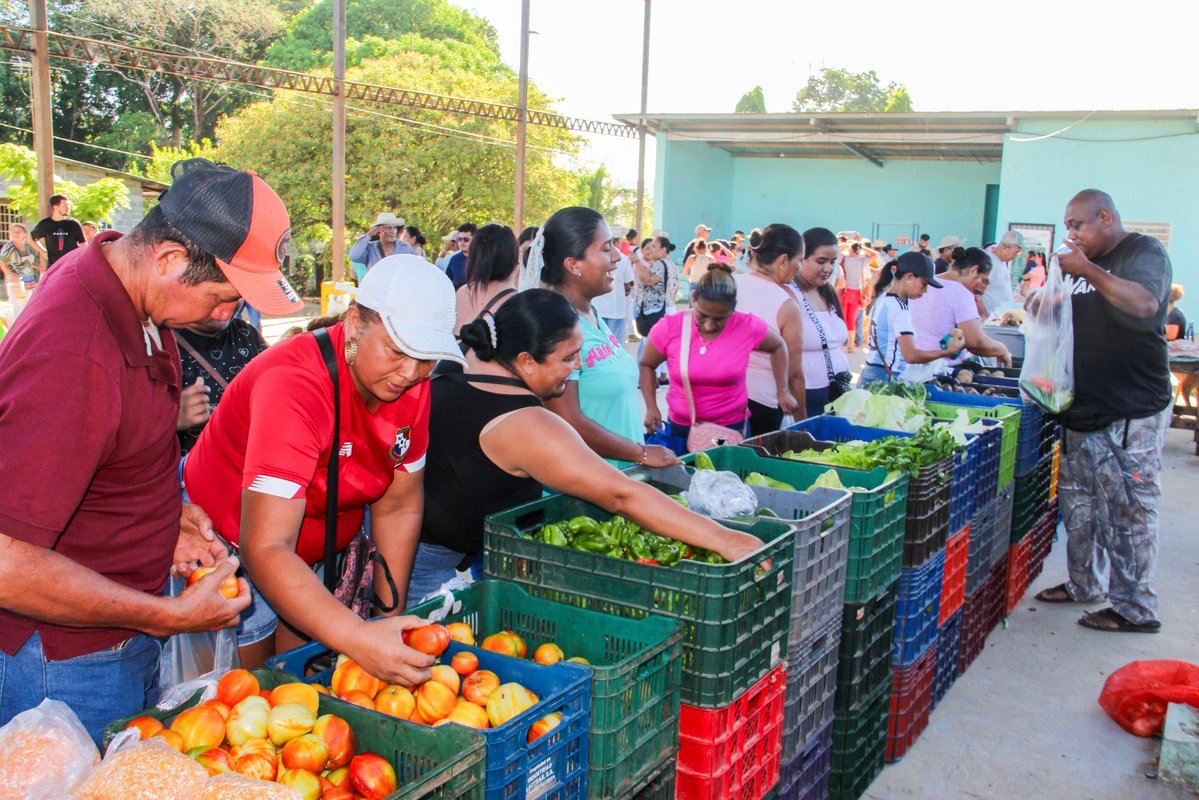 Instituto de Mercadeo Agropecuario tweet media