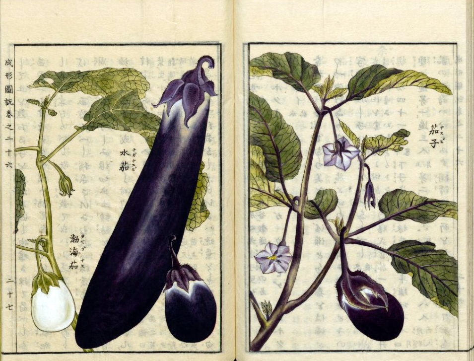 西洋魔術博物館 tweet media