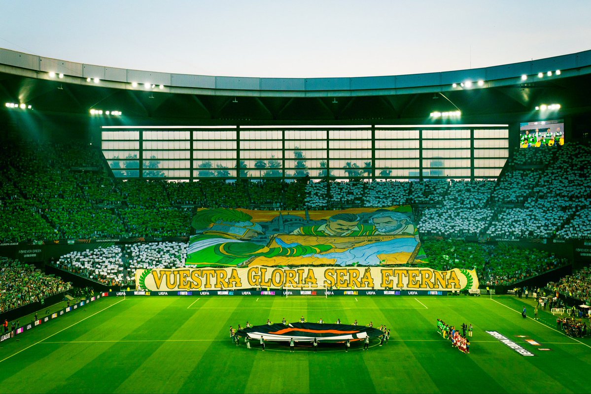 Fran Tena tweet media