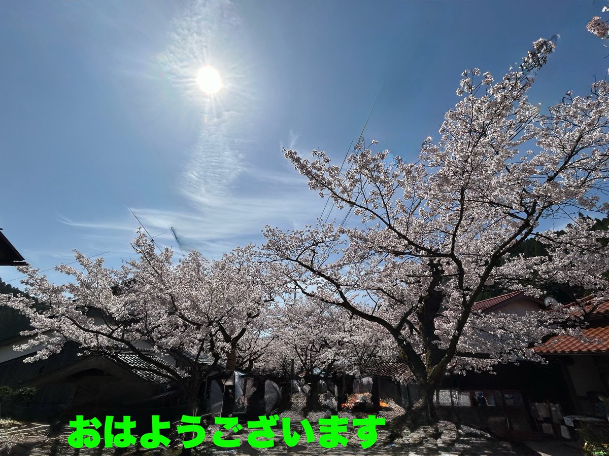 さんぺい tweet media