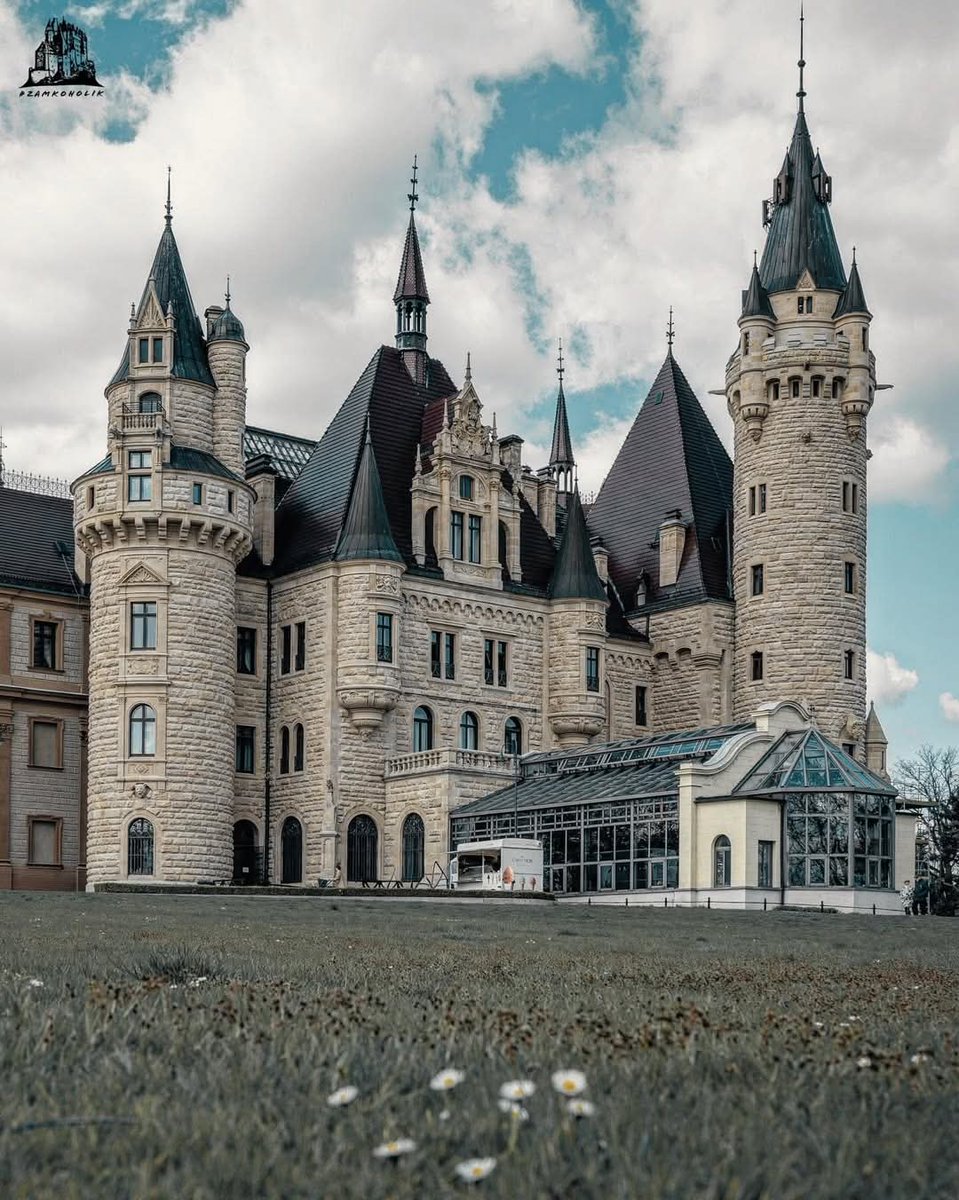 ReNature🦋 tweet media