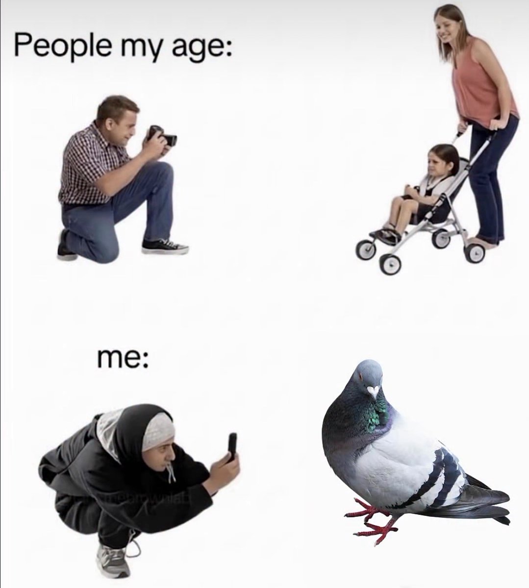 Respectful Memes tweet media