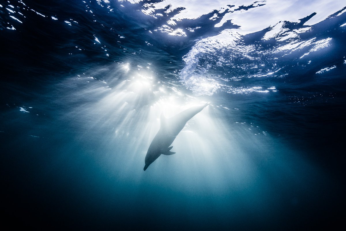 Yusuke Okada｜岡田裕介 tweet media