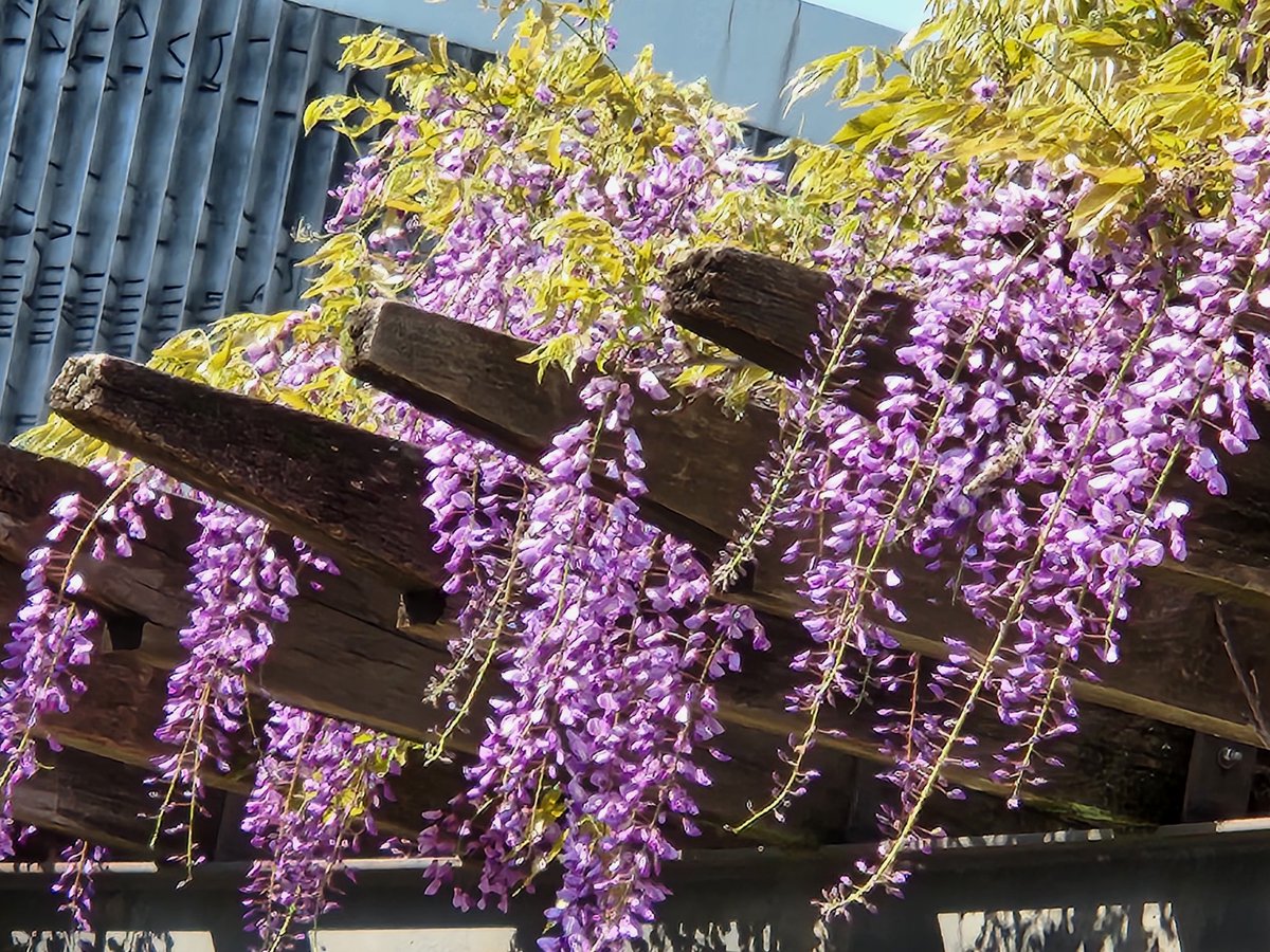 ⭐Reiko⭐📎📎📎📎📎 tweet media