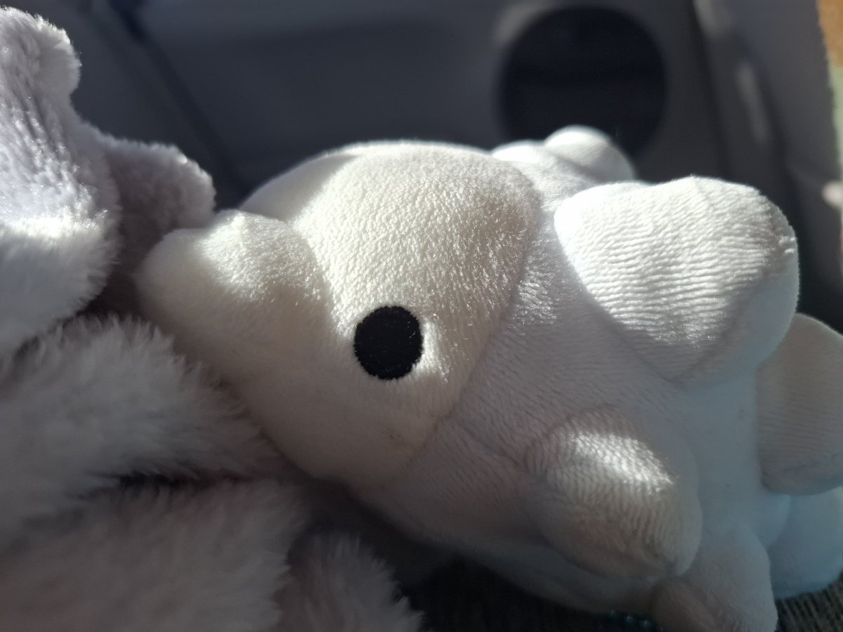 双子村のくろすけ tweet media