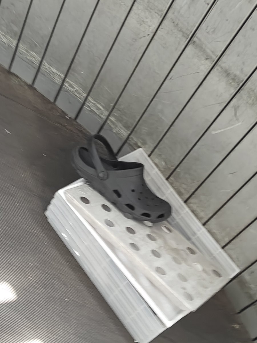 Sarah Harper, PhD tweet media