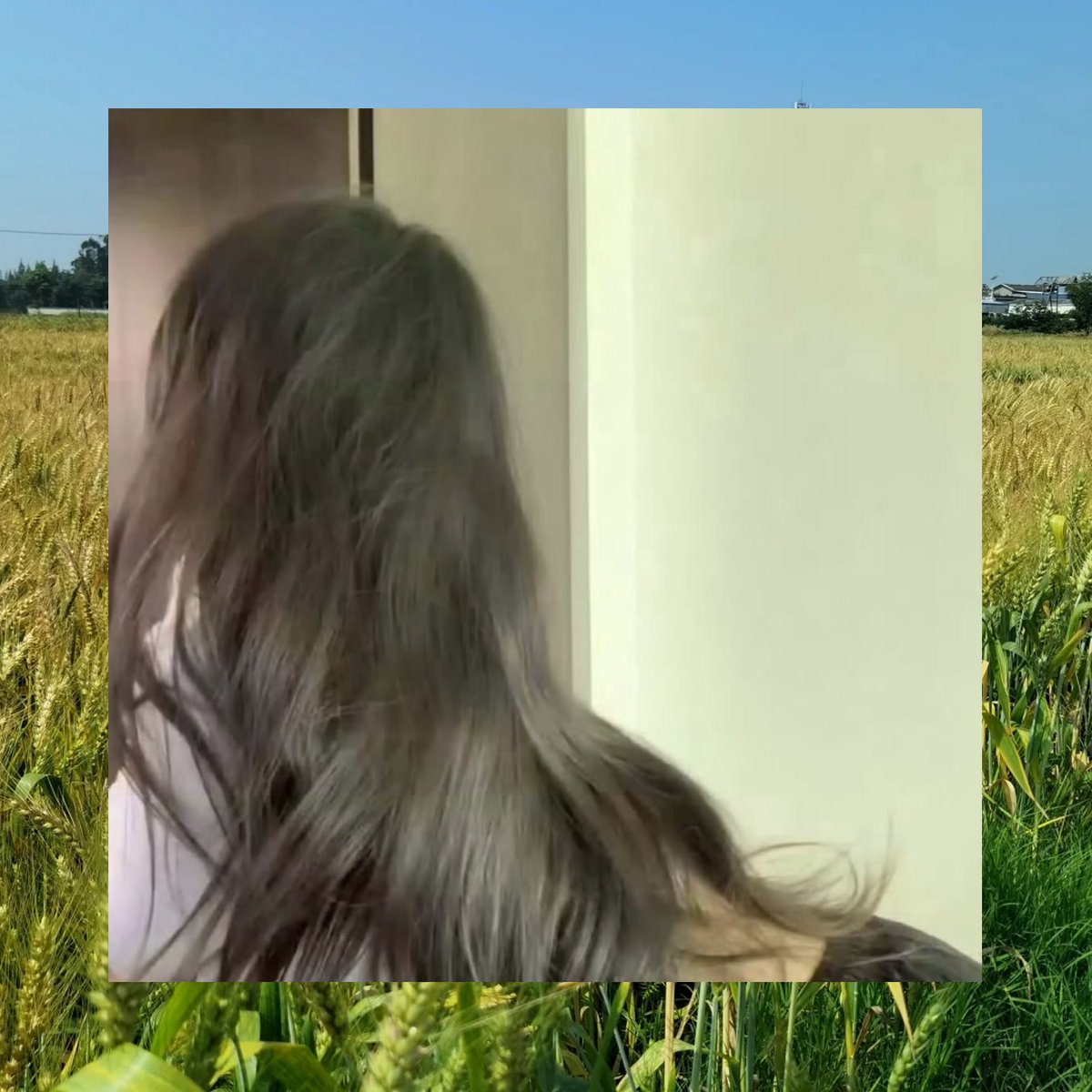 Maria Wilcox tweet media