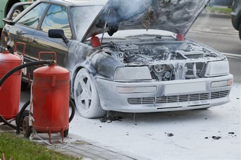 lisa shiela tweet media