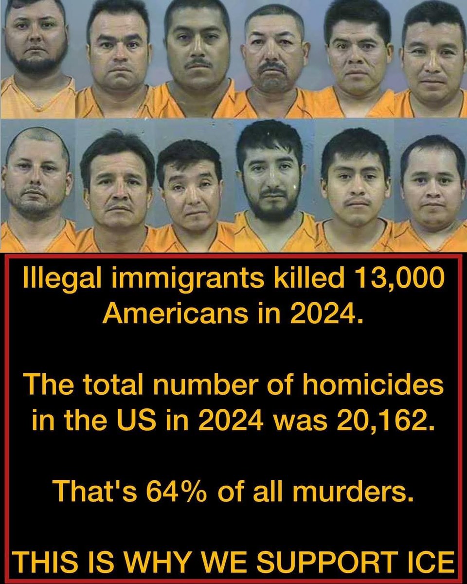 MAGA NEWS tweet media