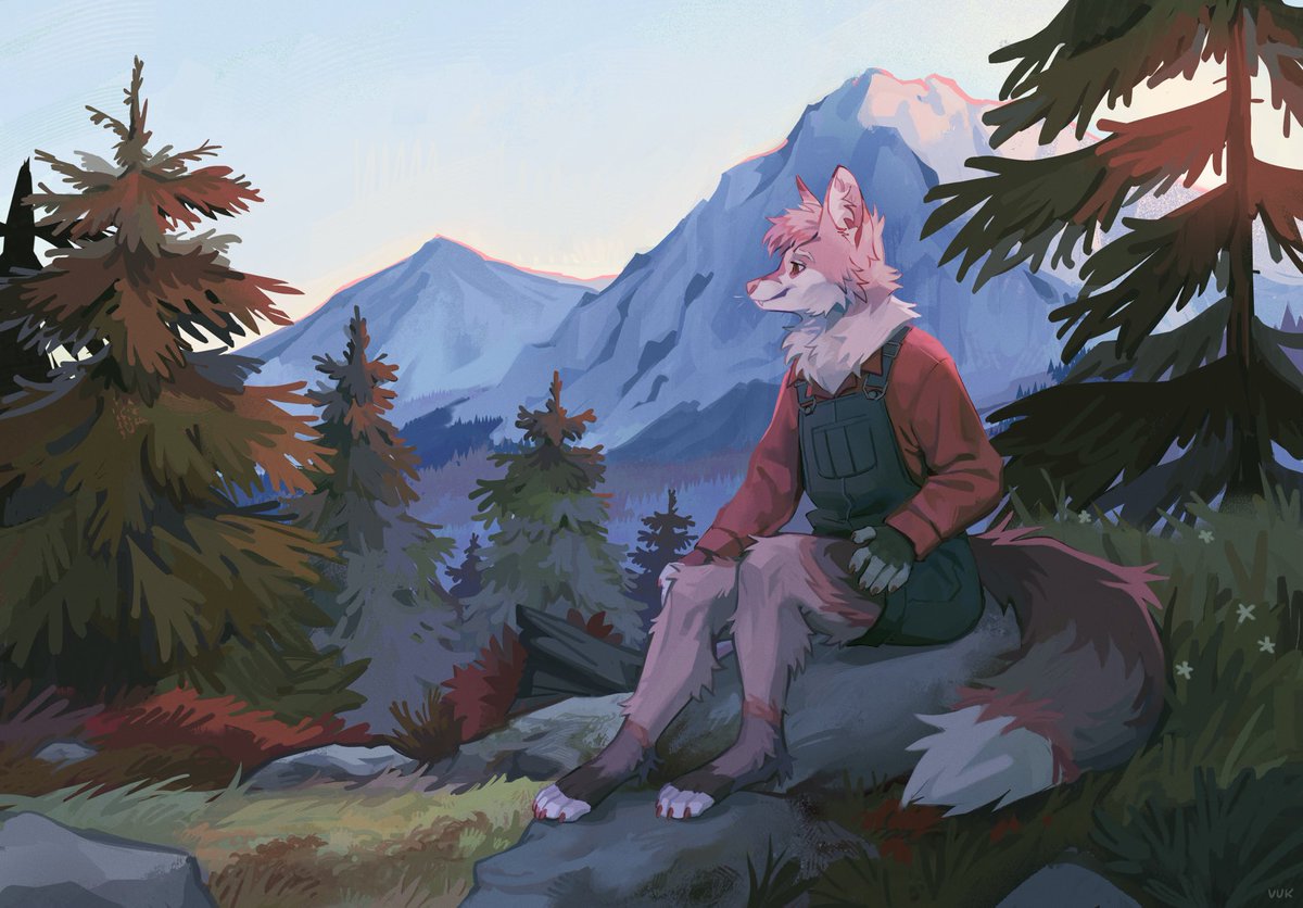 vuk 🕊 tweet media