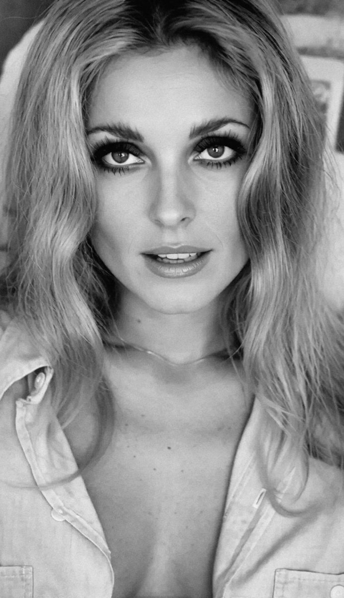 Rocco Parondi 🇮🇹 tweet media