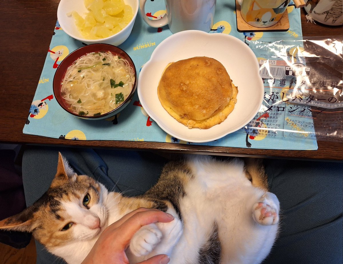 にこちゃまちゃんぬる tweet media