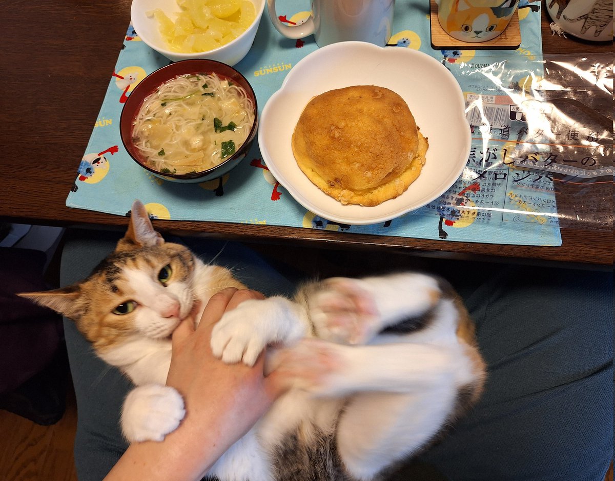 にこちゃまちゃんぬる tweet media