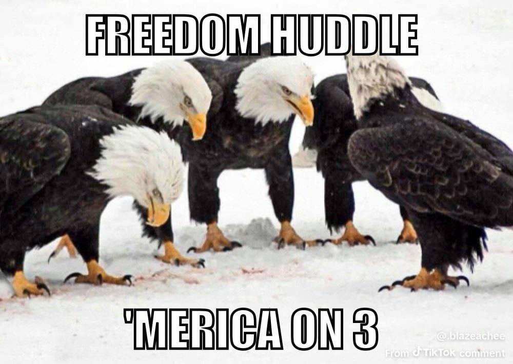 Michael D tweet media