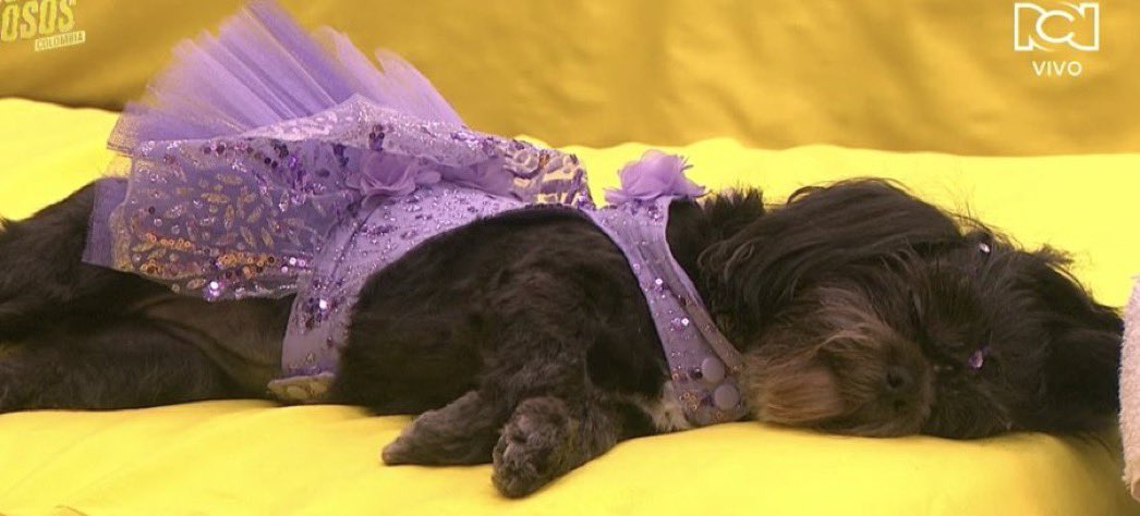 J ❤️‍🔥❤️‍🔥🐥🐥 tweet media